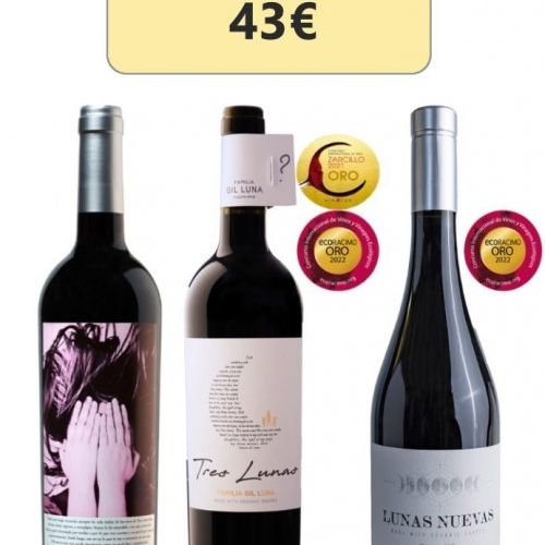 Pack nº2 vinos Bodegas Gil Luna