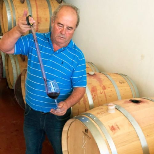 Bodegas Gil Luna en Toro