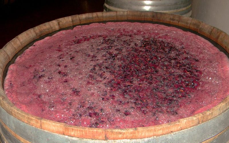 Elaboración de vino Bodegas Gil Luna