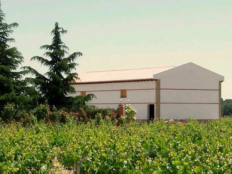 Vinos de Toro en Bodegas Gil Luna Vinos de Toro en Bodegas Gil Luna