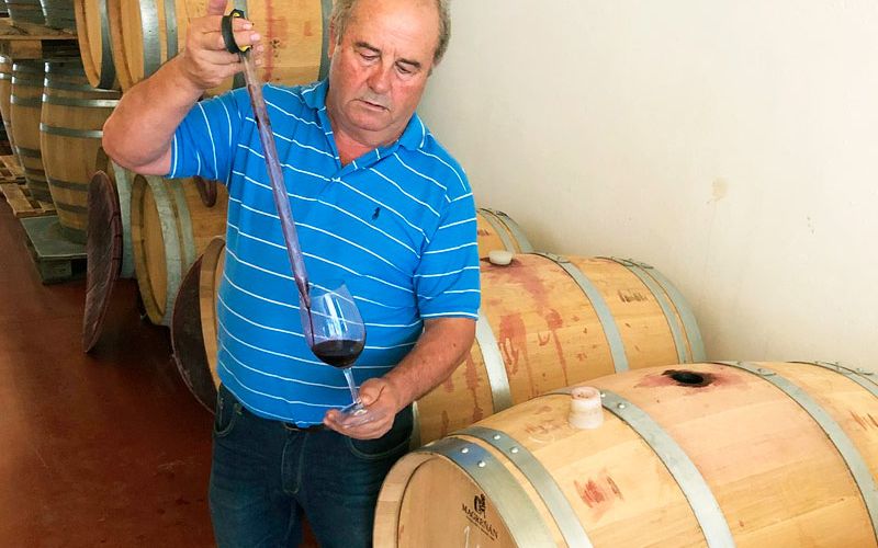 Bodegas Gil Luna en Toro