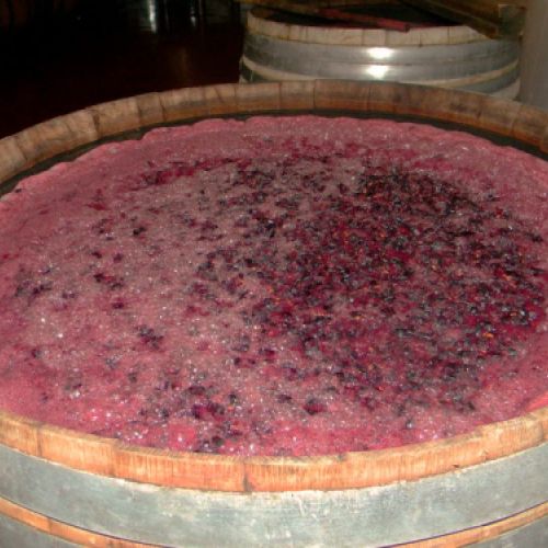 Elaboración de vino Bodegas Gil Luna